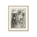Picture of Brown & White Flower II _GroupedProduct_Rectangle_Portrait_Framed_Matted_