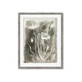 Picture of Brown & White Flower II _GroupedProduct_Rectangle_Portrait_Framed_Matted_