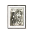 Picture of Brown & White Flower II _GroupedProduct_Rectangle_Portrait_Framed_Matted_