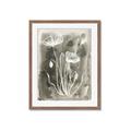 Picture of Brown & White Flower II _GroupedProduct_Rectangle_Portrait_Framed_Matted_