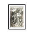Picture of Brown & White Flower II _GroupedProduct_Rectangle_Portrait_Framed_Matted_