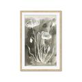 Picture of Brown & White Flower II _GroupedProduct_Rectangle_Portrait_Framed_Matted_
