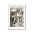 Picture of Brown & White Flower II _GroupedProduct_Rectangle_Portrait_Framed_Matted_