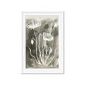 Picture of Brown & White Flower II _GroupedProduct_Rectangle_Portrait_Framed_Matted_
