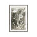 Picture of Brown & White Flower II _GroupedProduct_Rectangle_Portrait_Framed_Matted_