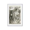 Picture of Brown & White Flower II _GroupedProduct_Rectangle_Portrait_Framed_Matted_