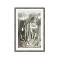 Picture of Brown & White Flower II _GroupedProduct_Rectangle_Portrait_Framed_Matted_
