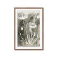 Picture of Brown & White Flower II _GroupedProduct_Rectangle_Portrait_Framed_Matted_