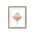 Picture of Light Flower I _GroupedProduct_Rectangle_Portrait_Framed_Matted_