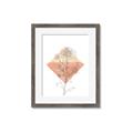 Picture of Light Flower I _GroupedProduct_Rectangle_Portrait_Framed_Matted_