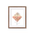 Picture of Light Flower I _GroupedProduct_Rectangle_Portrait_Framed_Matted_