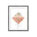Picture of Light Flower I _GroupedProduct_Rectangle_Portrait_Framed_Matted_