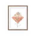 Picture of Light Flower I _GroupedProduct_Rectangle_Portrait_Framed_Matted_