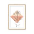 Picture of Light Flower I _GroupedProduct_Rectangle_Portrait_Framed_Matted_