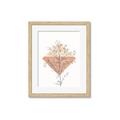 Picture of Light Flower II  _GroupedProduct_Rectangle_Portrait_Framed_Matted_