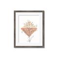 Picture of Light Flower II  _GroupedProduct_Rectangle_Portrait_Framed_Matted_