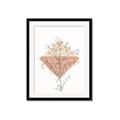Picture of Light Flower II  _GroupedProduct_Rectangle_Portrait_Framed_Matted_