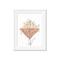 Picture of Light Flower II  _GroupedProduct_Rectangle_Portrait_Framed_Matted_