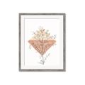 Picture of Light Flower II  _GroupedProduct_Rectangle_Portrait_Framed_Matted_