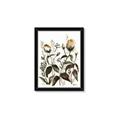 Picture of Rusty Flower II _GroupedProduct_Rectangle_Portrait_Framed_Matted_