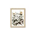 Picture of Rusty Flower II _GroupedProduct_Rectangle_Portrait_Framed_Matted_