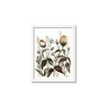 Picture of Rusty Flower II _GroupedProduct_Rectangle_Portrait_Framed_Matted_