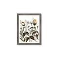 Picture of Rusty Flower II _GroupedProduct_Rectangle_Portrait_Framed_Matted_