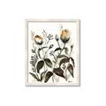 Picture of Rusty Flower II _GroupedProduct_Rectangle_Portrait_Framed_Matted_