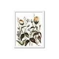Picture of Rusty Flower II _GroupedProduct_Rectangle_Portrait_Framed_Matted_