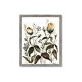 Picture of Rusty Flower II _GroupedProduct_Rectangle_Portrait_Framed_Matted_