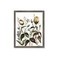 Picture of Rusty Flower II _GroupedProduct_Rectangle_Portrait_Framed_Matted_