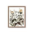 Picture of Rusty Flower II _GroupedProduct_Rectangle_Portrait_Framed_Matted_