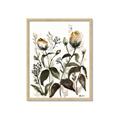Picture of Rusty Flower II _GroupedProduct_Rectangle_Portrait_Framed_Matted_