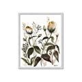 Picture of Rusty Flower II _GroupedProduct_Rectangle_Portrait_Framed_Matted_