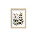 Picture of Rusty Flower II _GroupedProduct_Rectangle_Portrait_Framed_Matted_