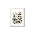 Picture of Rusty Flower II _GroupedProduct_Rectangle_Portrait_Framed_Matted_