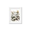 Picture of Rusty Flower II _GroupedProduct_Rectangle_Portrait_Framed_Matted_