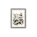 Picture of Rusty Flower II _GroupedProduct_Rectangle_Portrait_Framed_Matted_