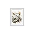 Picture of Rusty Flower II _GroupedProduct_Rectangle_Portrait_Framed_Matted_