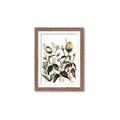 Picture of Rusty Flower II _GroupedProduct_Rectangle_Portrait_Framed_Matted_