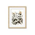 Picture of Rusty Flower II _GroupedProduct_Rectangle_Portrait_Framed_Matted_
