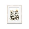 Picture of Rusty Flower II _GroupedProduct_Rectangle_Portrait_Framed_Matted_