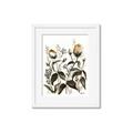 Picture of Rusty Flower II _GroupedProduct_Rectangle_Portrait_Framed_Matted_