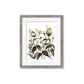 Picture of Rusty Flower II _GroupedProduct_Rectangle_Portrait_Framed_Matted_