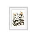 Picture of Rusty Flower II _GroupedProduct_Rectangle_Portrait_Framed_Matted_