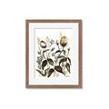 Picture of Rusty Flower II _GroupedProduct_Rectangle_Portrait_Framed_Matted_