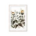 Picture of Rusty Flower II _GroupedProduct_Rectangle_Portrait_Framed_Matted_