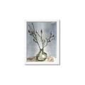 Picture of Cotton Flower In Vase II _GroupedProduct_Rectangle_Portrait_Framed_Matted_