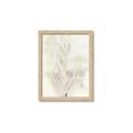 Picture of Transparent Tulip I _GroupedProduct_Rectangle_Portrait_Framed_Matted_