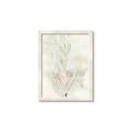 Picture of Transparent Tulip I _GroupedProduct_Rectangle_Portrait_Framed_Matted_